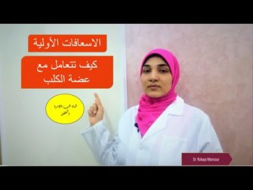 كيف تتعامل مع عضة الكلب والأدوية المستخدمة؟  الإسعافات الأولية لعلاج عضة الكلب ومتى تلجأ للطبيب؟