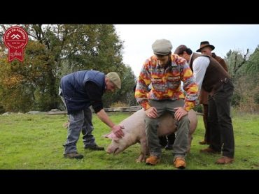 MONTALEGRE  HINO  25ª Feira do Fumeiro e Presunto de Barroso