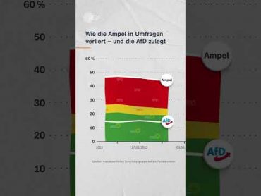 Wie die Ampel verliert  und die AfD zulegt  ZDFPolitbaromter