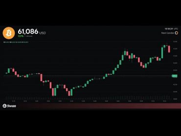 Bitcoin Price Live!