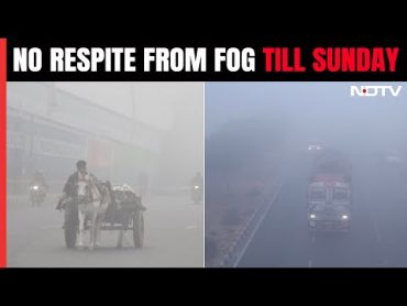 Delhi Weather  Cold Wave, Dense Fog In Delhi, No Respite Till Sunday