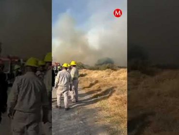 Incendio consume el Vaso Regulador &39;El Cristo&39; de Naucalpan milenioshorts