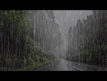 Sonido de Lluvia para Calmar Mente y Dormir Profundamente en 5 Minutos  Lluvia en el Bosque Brumoso