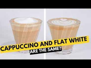 CAFE DRINKS EXPLAINED: Breaking down the cappuccino, flat white, cortado, latte, and more