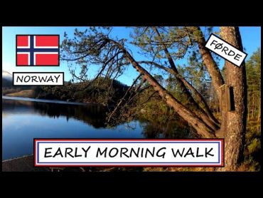 Peaceful early morning walk  Førde Norway  Life in Norway