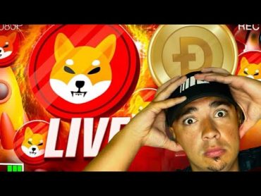 SHIBA INU COIN & CRYPTO SELL OFF! DON&39;T PANIC! SOCIAL MEDIA HACK???