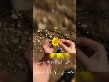 من أول دقيقة لحبك قلبي مال 😍         أغنية إليسا وسعد المجرد