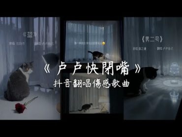 抖音翻唱《卢卢快閉嘴》Cover 傷感又扎心歌曲翻唱 抖音音樂 翻唱歌曲 合集 Douyin song