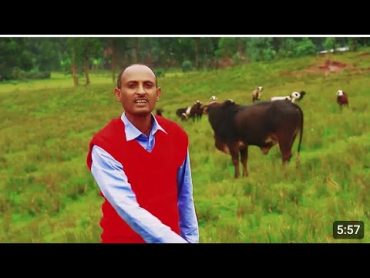 Darraasa Habtamu sirbaa Bareeda Baqeelli Asheete Gamaa old oromo music 2024