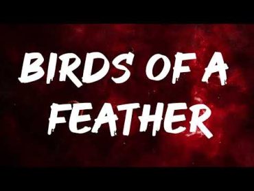 Billie Eilish  BIRDS OF A FEATHER (Lyrics)