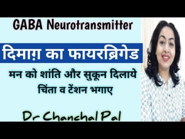 GABA neurotransmitter by Dr Chanchal Pal  mind ko shant kaise rakhe  dimag ko shant kaise rakhe