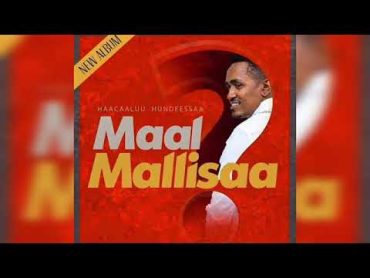 Haacaaluu Hundessaa new album የሀጫሉ ሁንዴሳ አዲስ አልበም