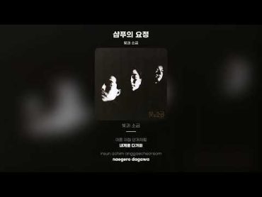 [Lyric Video] 빛과 소금  샴푸의 요정