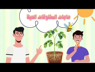 حاجات المخلوقات الحيةعلومالصف الثاني الابتدائيالفصل الدراسي الأول