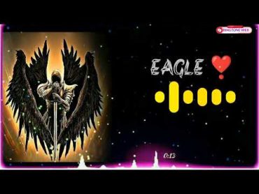 New Eagle RingtoneBeat Insta Eagle Ringtone  New Ringtone @ringtonest317 @RingtonesGuru👇👇👇