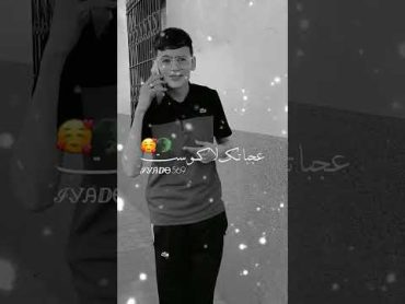 عجباتك لاكوست ولا صاحبي rai algeria music raistar tiktok youtube explore dance love foryou