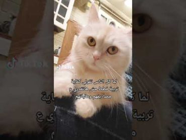 عايزني ازاي انا افرط فيه 🫣