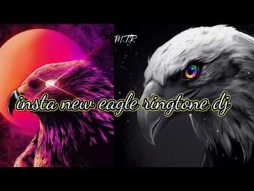 INSTA NEW EAGLE DJ🎶 RINGTONE DJ REMIX 🙏🏻