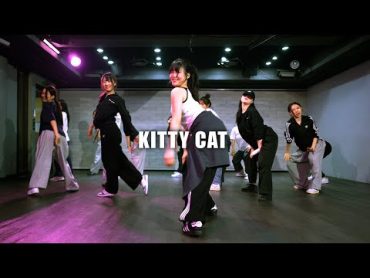 코레오그래피 / KITTY CAT(JULIE SOLO)  Kiss of Life / 수원댄스학