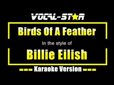 Birds Of A Feather Karaoke  Billie Eilish Karaoke Version