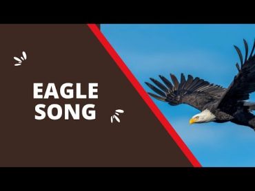 Insta New Eagle..Eagle Song. viral Song. Supreme EDITZ...