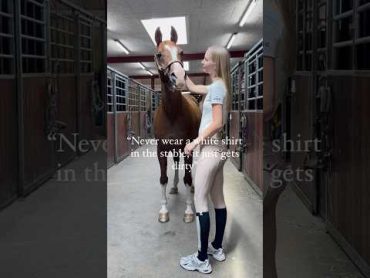 Why do horse like white clothing? 😂 equestrian horses pferde horse pony trending funny