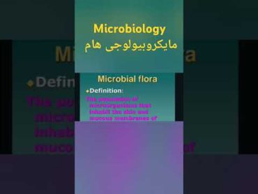 شرح مادة مايكروبيولوجى اولى معهد فنى صحى  شرح mictobal flora كامل