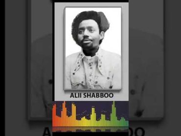 Sirboota babbareedaa dr Artis Ali Shabboo  Ethiopian best music oromomusic artist oro