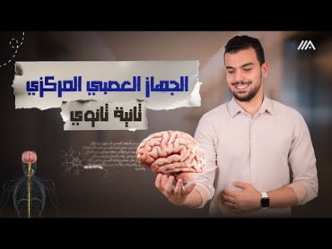 الجهار العصبي المركزي 🚨 محاضرة ما قبل الأخيرة🎓 أحياء تانية ثانوى تيرم ثانى 🫶🏻