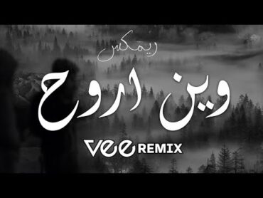 ميني مكس وين اروح  Vee Remix