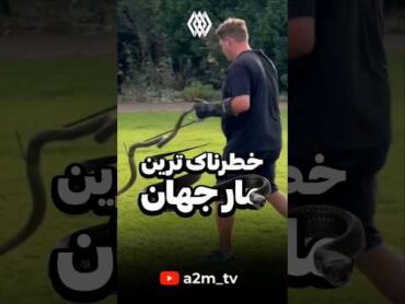 خطرناک ترین مار جهان رو پیدا کردم !!!؟😱😱 فکت دانستنی مار مارخطرناک  خطرناک