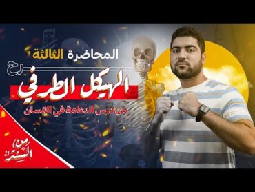 4 الدعامة في الإنسان  الهيكل الطرفي + لعبة الأعداد احياء ثانوية عامة ٢٠٢٤ 🔥