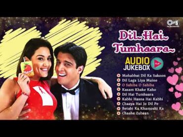 Dil Hai Tumhaara All Song  Full Movie Album  Audio Jukebox  Arjun Rampal, Preity Zinta  90s Hits