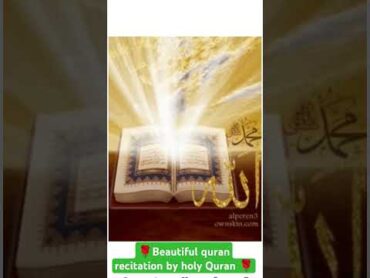 Surah taha beautiful quran recitation qala rabbish rahli