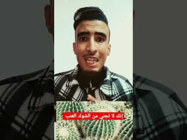 (11) قصة المثل الشائع " إنك لا تجني من الشوك العنب".