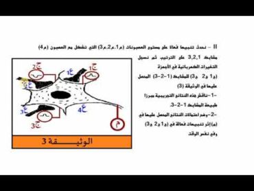 تمرين استدلال علمي حول المنعكس العضلي و الادماج العصبي السنة الثانية علوم تجريبية الأستاذ لزهر عزيزي