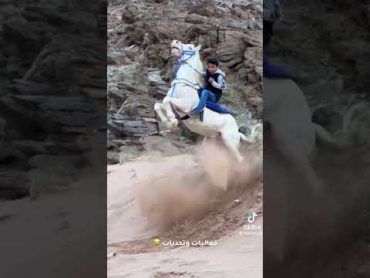 التحكم وروح المغامره عند سعد ماشاء الله عليه😍😍👏🏻🐎