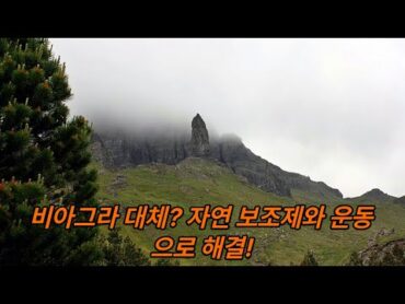 "남성 비아그라 대체 방법! 자연으로 성 건강을 지키는 7가지 비결 공개!"