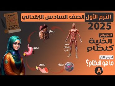 A1 علوم الصف السادس الترم الأول (2025) الوحدة الأولى  المفهوم الأول  الدرس الأول ( الخلية كنظام )