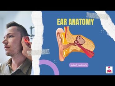 أبسط شرح للأذن (الأذن الخارجيهالأذن الوسطي  الأذن الداخليه)  ANATOMY OF THE EAR