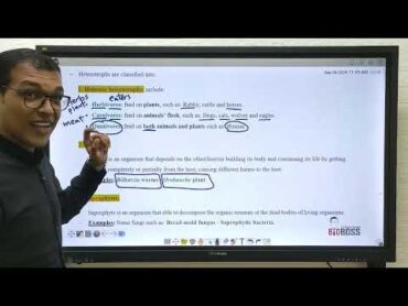 Revision Biology 2nd sec chapter 1 nutrition and digestion / مراجعة شابتر ١ بيولوجى تانية ثانوى