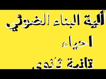 ألية البناء الضوئي   احياء الصف الثاني الثانوي