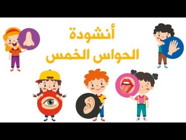 أنشودة الحواس الخمس   أنا إنسان لي إحساس