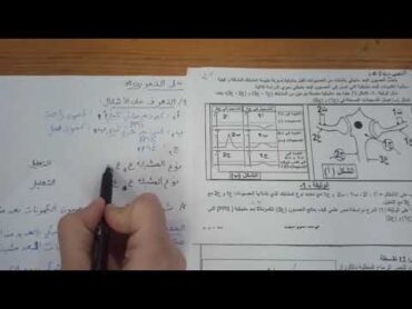 2 ثانوي تمرين حول الإدماج العصبي