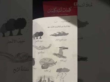 كتاب كنز الكلمات، مكمل لكتاب كلمات تشبه كلمات.