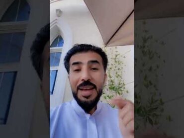 الحكمة الصينيه الشهيرة تحت الطين يوجد ذهب