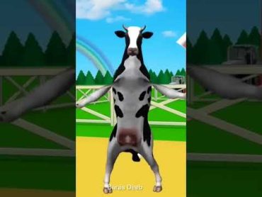 بقره ترقص  البقرة الضاحكه  البقرة الحلوب  بقرة العيد  the cow  بقرة Cow 🐮🐄