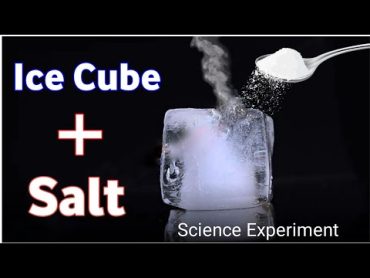 Easy Science Experiment in Home  ice Science Trick  Ice Cube + Salt Trick  shorts