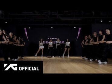 BLACKPINK  ‘Pink Venom’ DANCE PRACTICE VIDEO