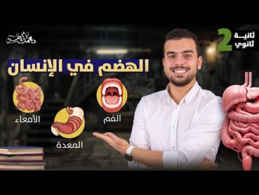 الهضم فى الإنسان🤩 محاضرة 4 ل تانيه ثانوى🖤 الفم والمعدة والأمعاء💣 عظمة لم تراها ولن تراها 😎